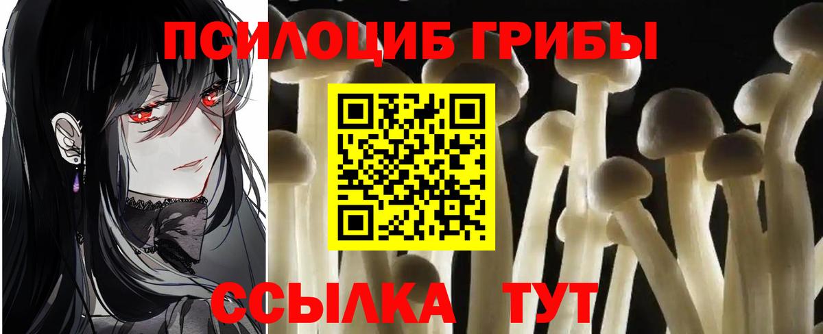 Псилоцибиновые грибы мухоморы  Вход с VPN  Кумертау 