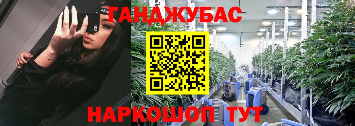 Шишки марихуана гибрид Кумертау